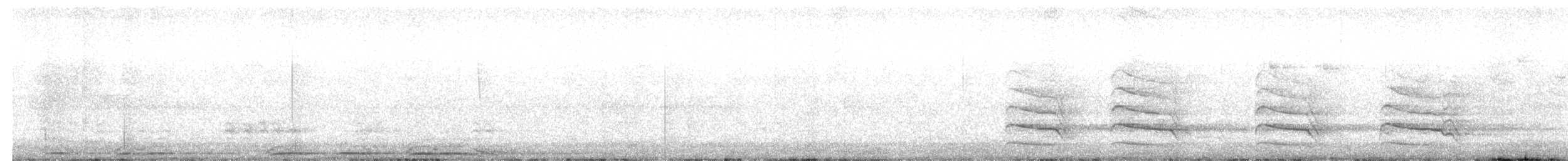 Chouette rayée - ML654905436