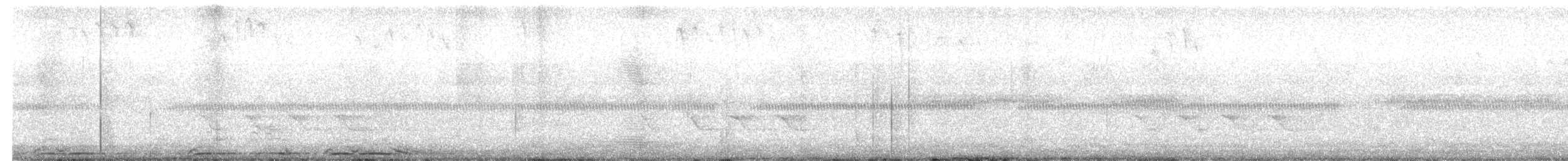 Chouette rayée - ML654905437