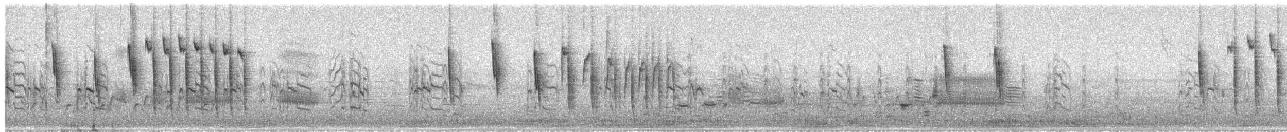Troglodyte à bec court - ML654910964