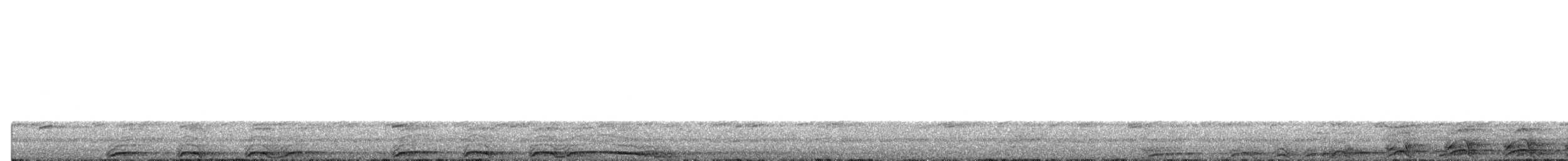 Chouette rayée - ML654911153