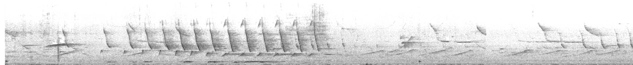 Chouette rayée - ML654911563