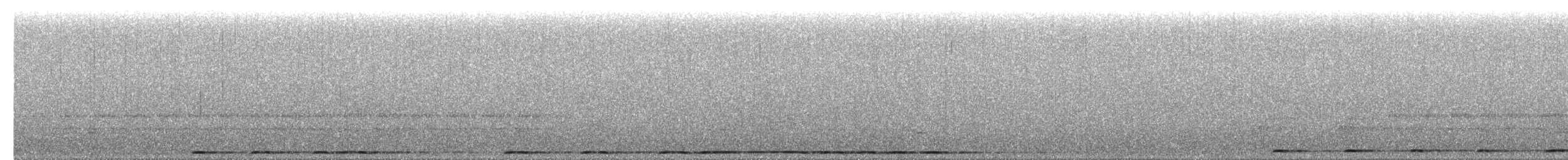 Chouette rayée - ML654915546