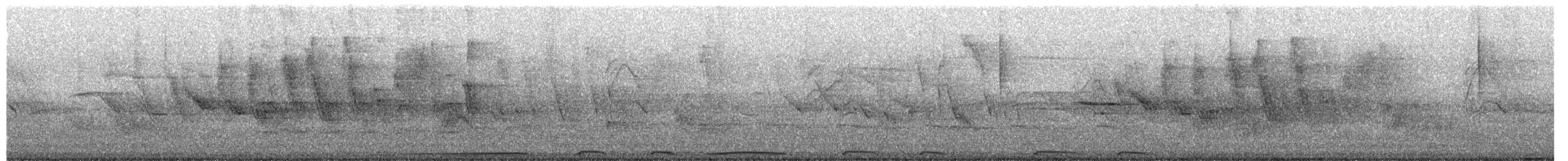 Picazuro Pigeon - ML654929234