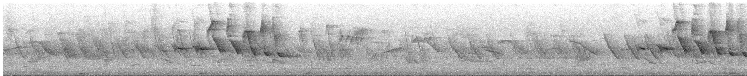 Double-collared Seedeater - ML654931114