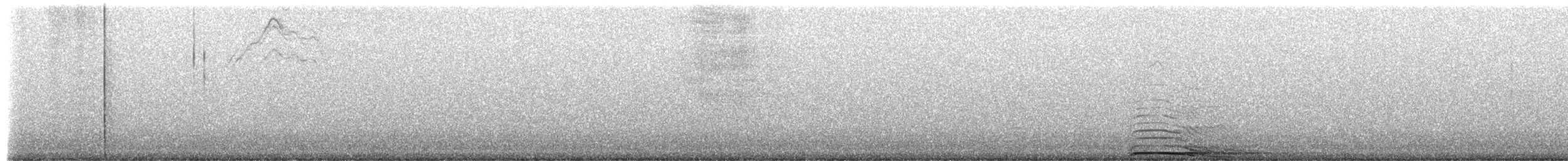 Chouette rayée - ML654942785