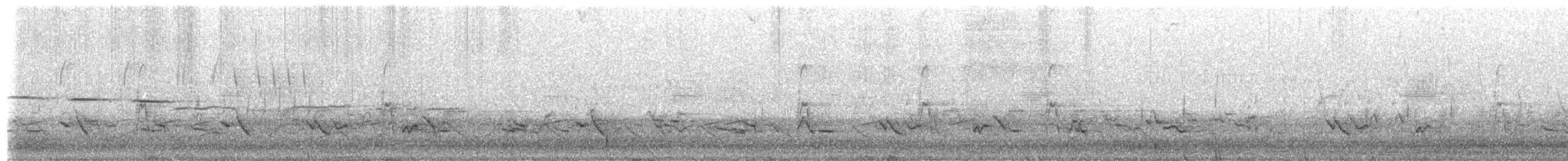 Chouette rayée - ML654948247