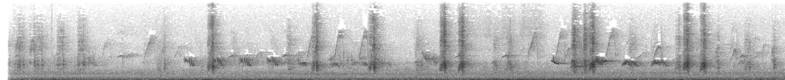 Orientelster - ML654952178