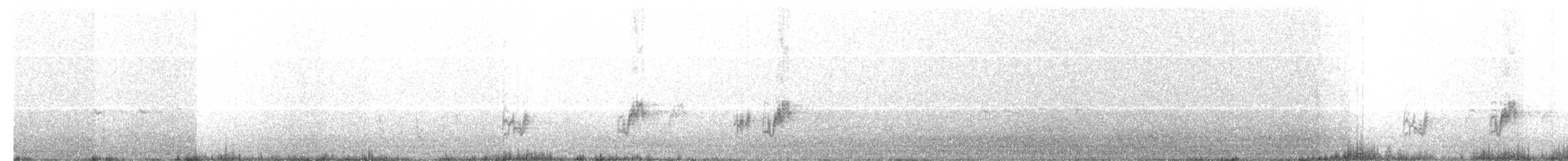 Бюльбюль капський - ML654953144