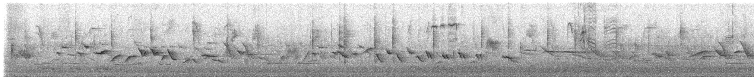 Пасовник рябогрудий - ML654953147