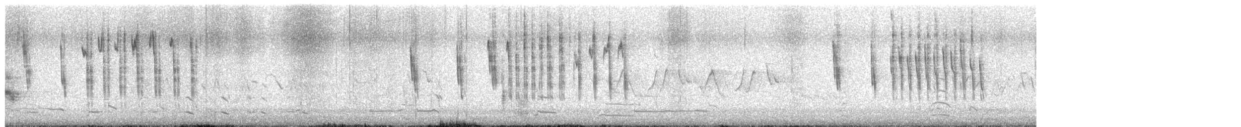 Troglodyte à bec court - ML654962367