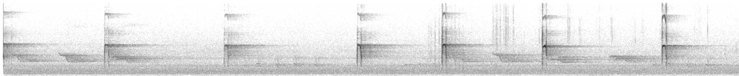 セジロアカゲラ（villosus グループ） - ML654965077