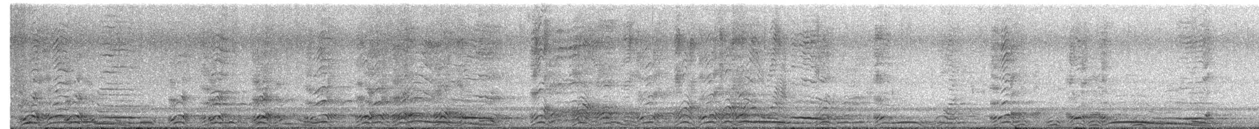 Chouette rayée - ML654967880