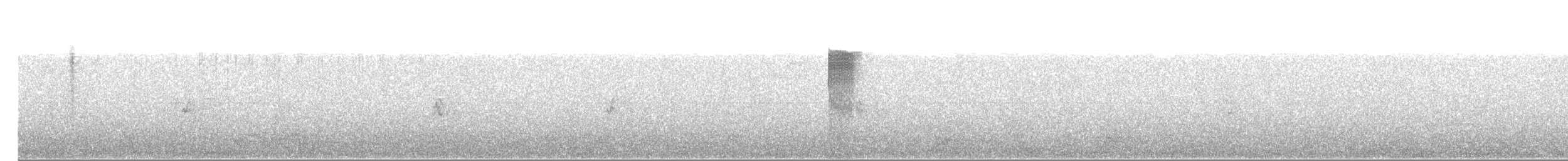 Rufous Hummingbird - ML65497411