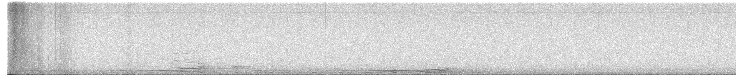 Chouette rayée - ML654974993