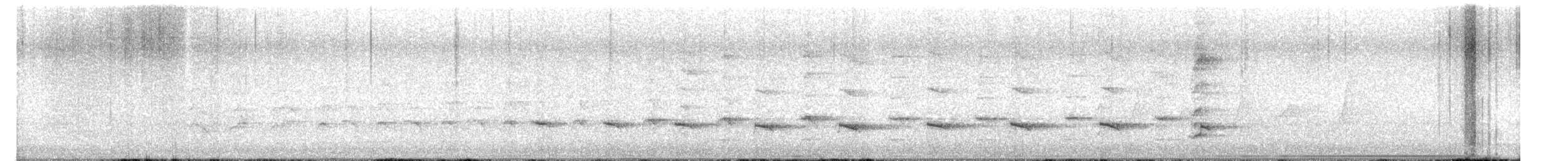 Papuaweih - ML654982522