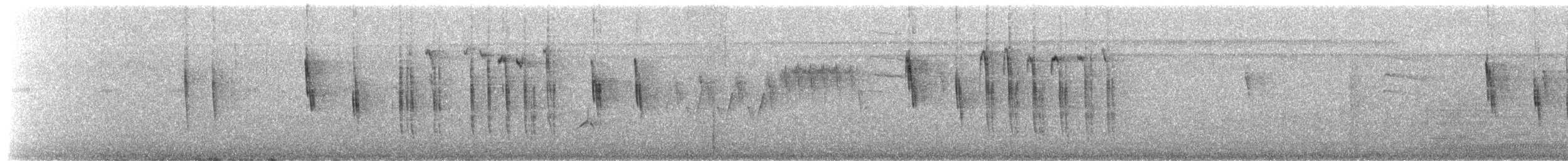 Troglodyte à bec court - ML654986957