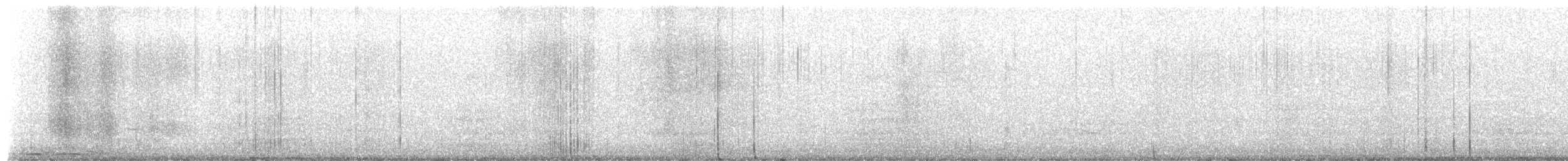 Chouette rayée - ML654995015