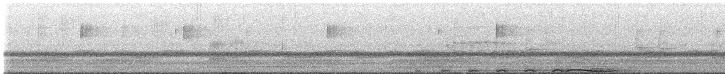 Chouette rayée - ML654999863