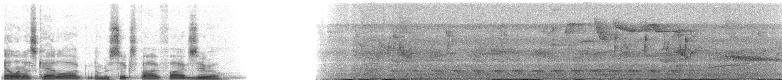 Gartered Violaceous Trogon - ML6550