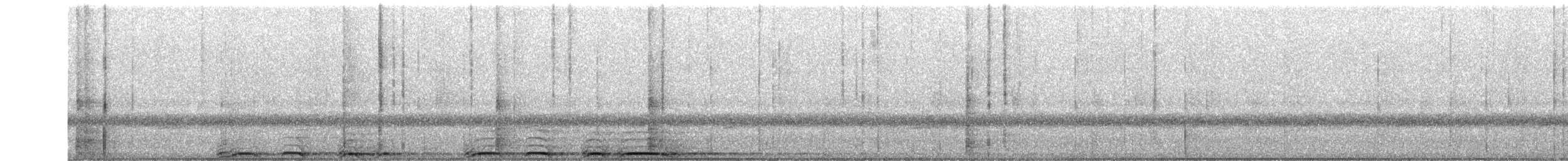 Chouette rayée - ML655003692