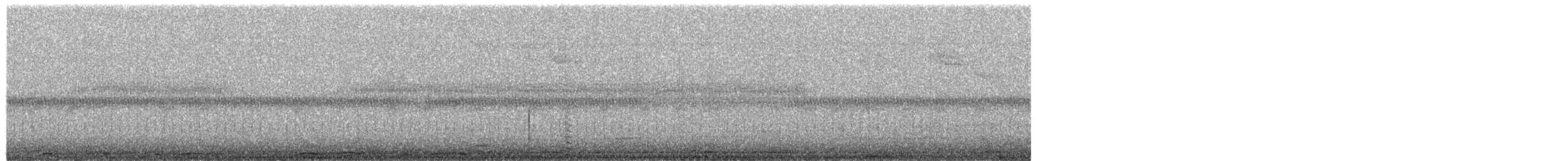 Chouette rayée - ML655007169