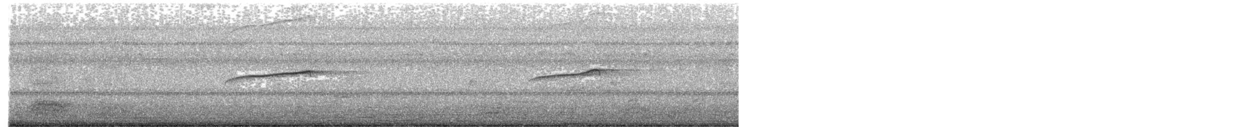 Common Sandpiper - ML655007821