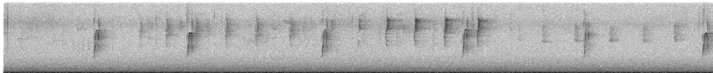 חטפית ירקרקה - ML655007855