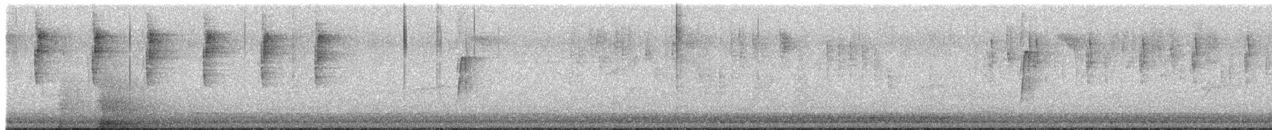 חטפית ירקרקה - ML655007875