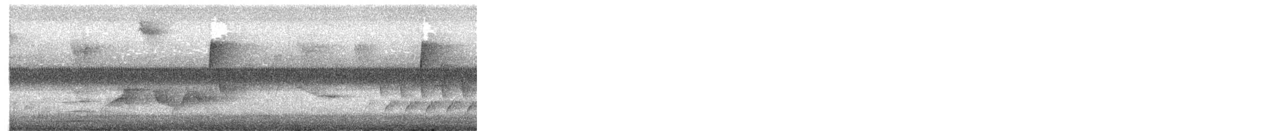 Chouette rayée - ML655008522