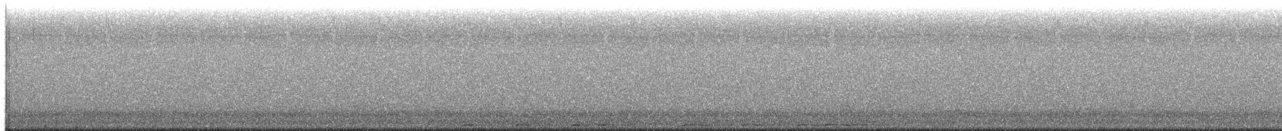 Chouette rayée - ML655010407