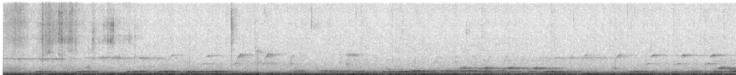 Chouette rayée - ML655012135