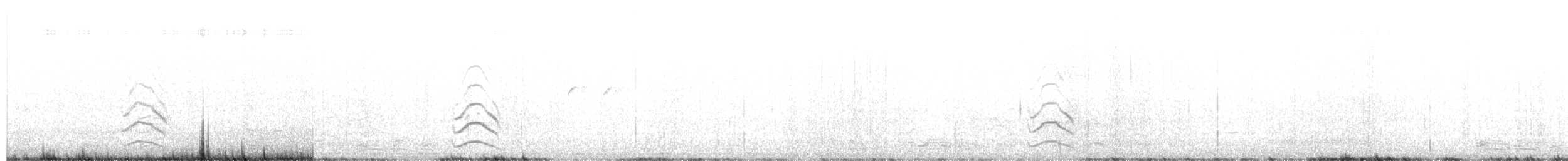 Western Marsh Harrier - ML655014035