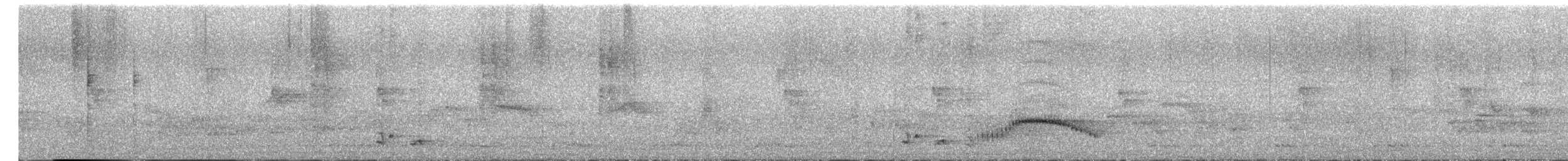 Microtarsus/Rubigula/Pycnonotus sp. - ML655014870