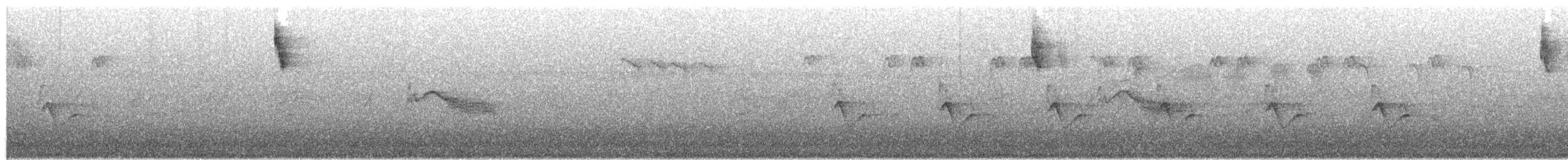 Maskeli Çinte - ML655014890