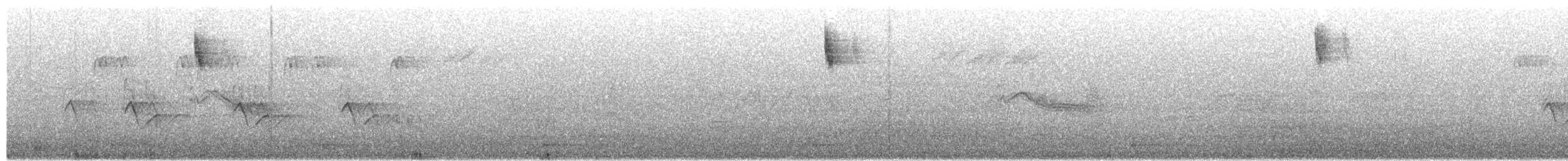 Maskeli Çinte - ML655014983