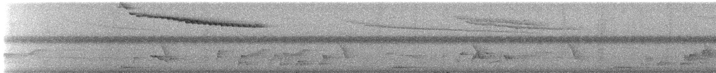 tanımsız Aves sp. - ML655015012