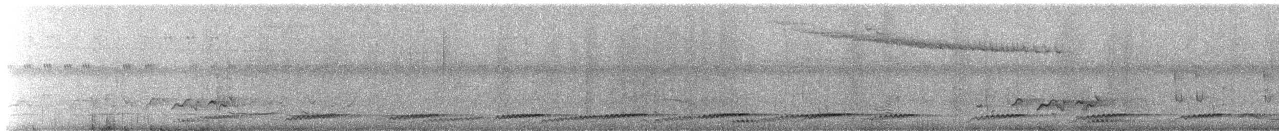 tanımsız Aves sp. - ML655015014