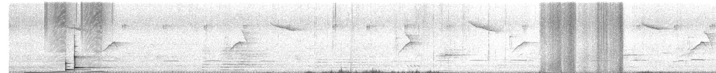 Sonnerat Guguğu - ML655015142