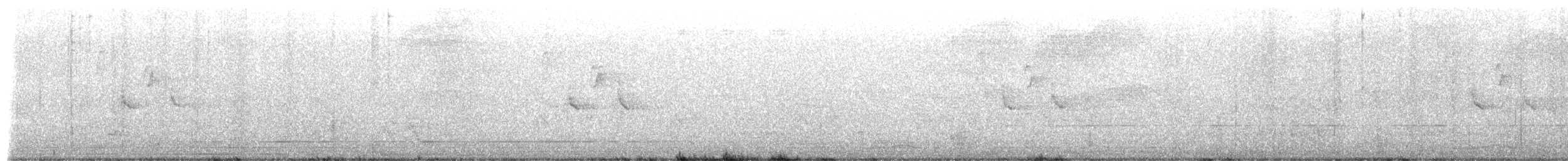 Akça Büyük Baştankara (commixtus) - ML655015160