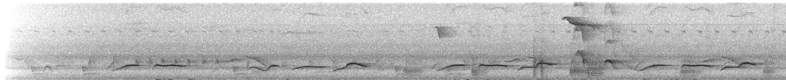 tanımsız Aves sp. - ML655015171