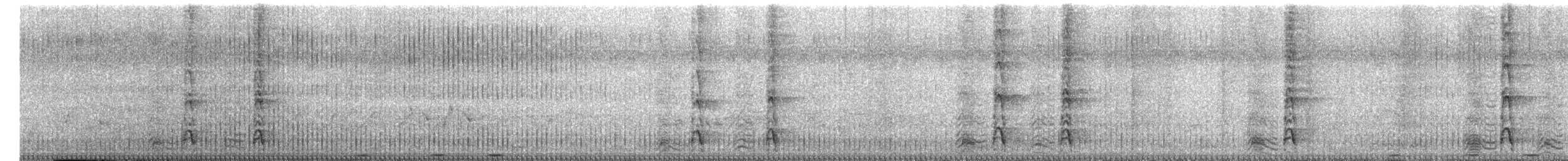 Benekli Yaban Tavuğu - ML655015220