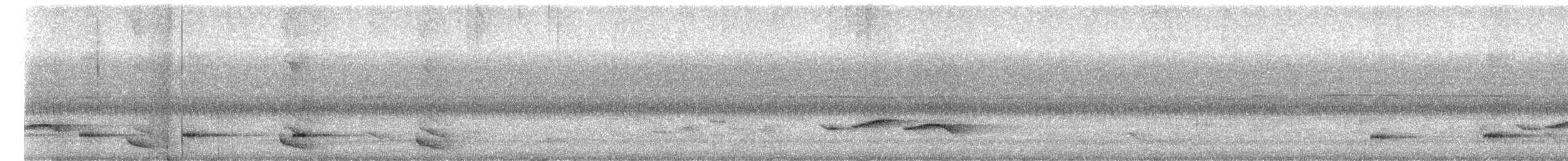 Flaggendrongo - ML655019687