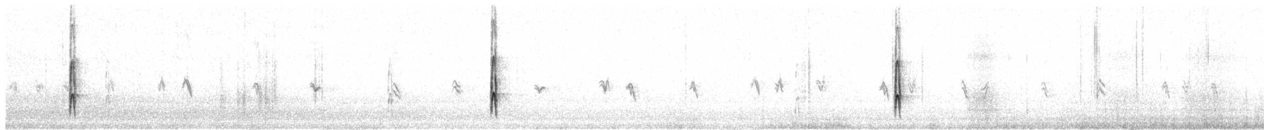 Ladder-backed Woodpecker - ML655039911