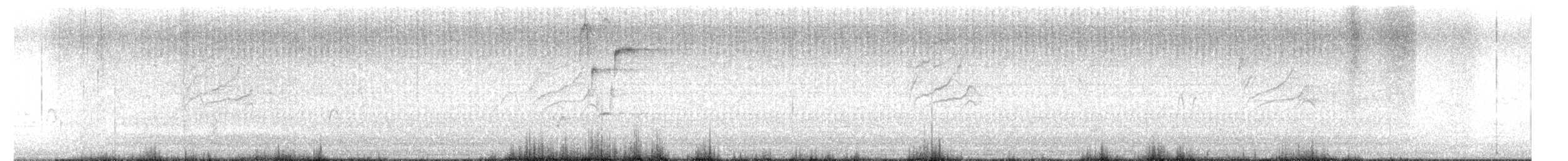 Pine Siskin - ML655059262