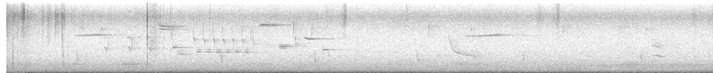 Hermit Thrush - ML655059308