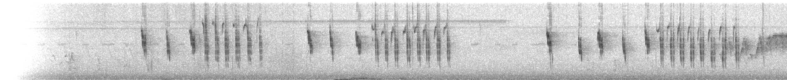 Troglodyte à bec court - ML655059999