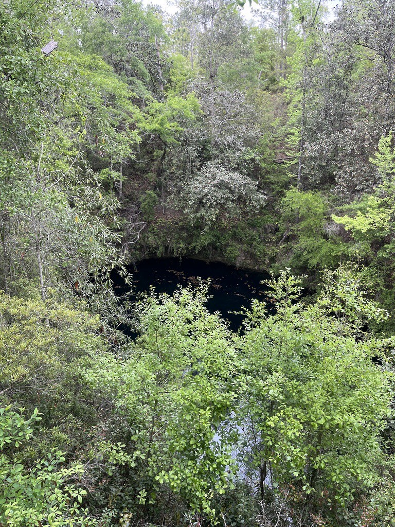 null - ML655065795