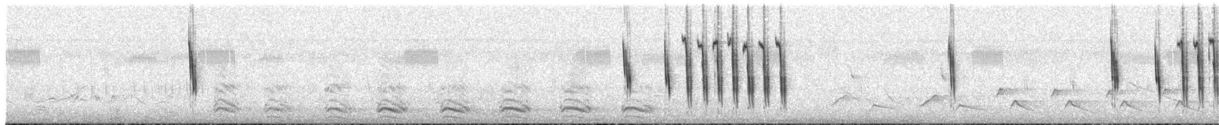 Troglodyte à bec court - ML655071895