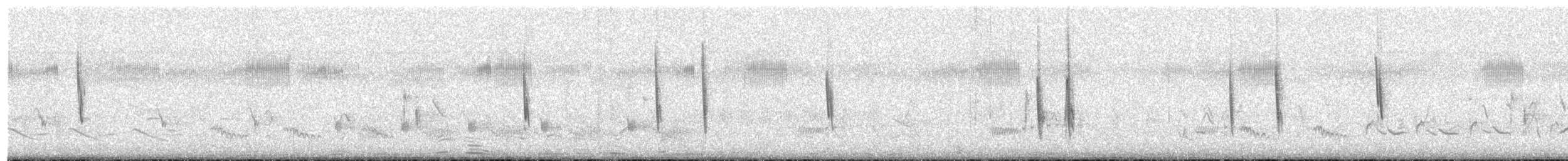 Troglodyte à bec court - ML655072068