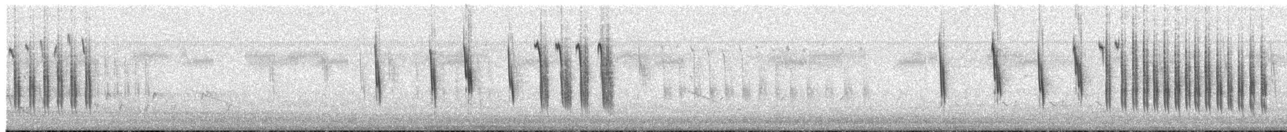 Troglodyte à bec court - ML655072190